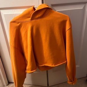 Aritzia Cozy Fleece Perfect Hoodie